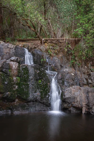 Водопад Линдейл Расположен Заповеднике Линдейл Фоллс Тасмания Австралия — стоковое фото