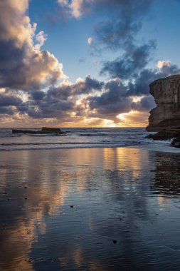 Maori Körfezi sümsük kuşu kolonilerinin gün batımı manzarası