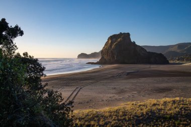 Piha Sahili, Auckland, Yeni Zelanda 'da canlandırıcı akşam yürüyüşü