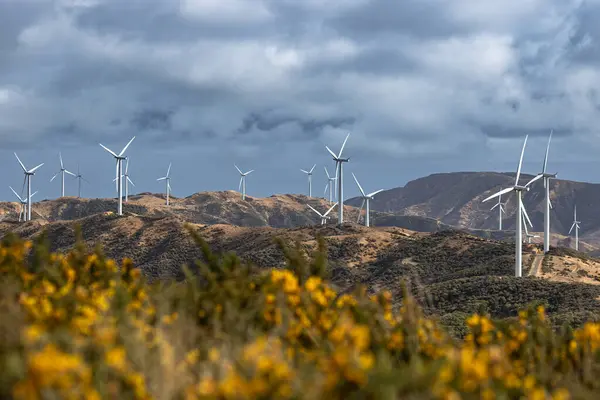 Yeni Zelanda 'da bulutlu bir günde Te Kamaru rüzgar türbini istasyonunda nefes kesici manzara