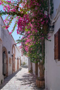 Lindos şehrinin Vibrat sokağı güneşli bir günde Rodos adasında ele geçirildi.