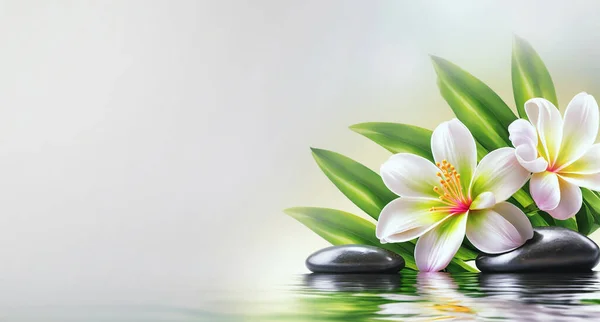 Spa treatment salon advertising poster template. Spa background with flowers and massage stones reflected in the water. copy space.