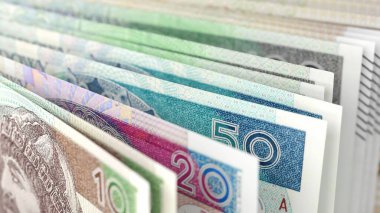 Polonya zloti para birimi banknotlarının yakın plan görüntüsü 