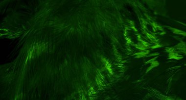 Yeşil şahin tüyleri görünür detaylarla. arkaplan veya doku