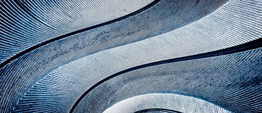 Gri tüylü güvercin makro fotoğrafı. doku veya arkaplan