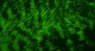 Yeşil şahin tüyleri görünür detaylarla. arkaplan veya doku