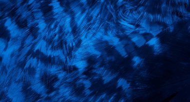 Mavi şahin tüyleri görünür detaylarla. arkaplan veya doku