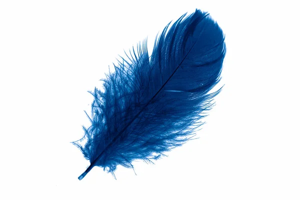 95,878 Blue Feathers Vector Royalty-Free Images, Stock Photos & Pictures