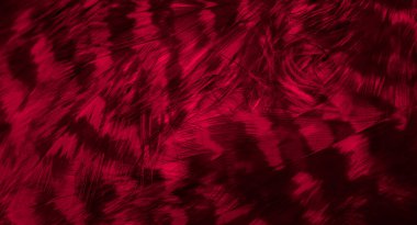 Kızıl Şahin tüyleri görünür detaylarla. arkaplan veya doku