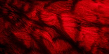 red feathers of the owl with visible details