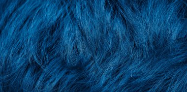 blue dog fur with visible texture. background