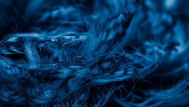 blue  feathers of the owl with visible details