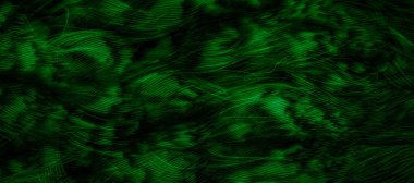 green  feathers of the owl with visible details