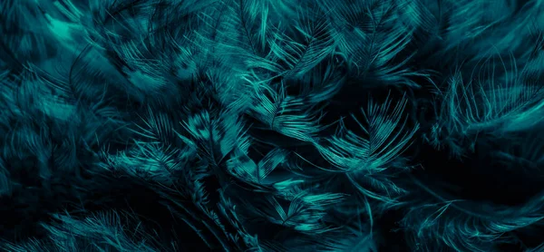 stock image blue  feathers of the owl with visible details