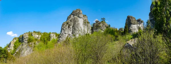 Mirow 'daki Krakow Czestochowa Upland manzarası