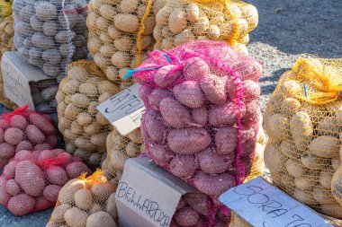 Farklı patates çeşitleri olan ağ torbaları.