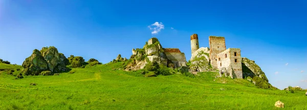 stock image castle ruins on the mountain in Olsztyn