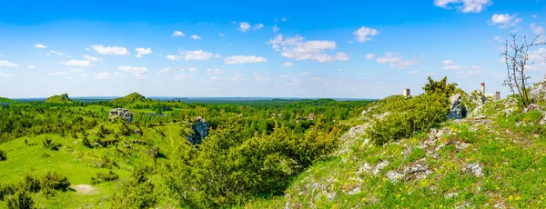 Красивая Панорама Кракова Ченстохова Юра — стоковое фото