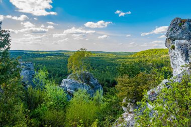 Mirow 'daki Krakow Czestochowa Upland manzarası