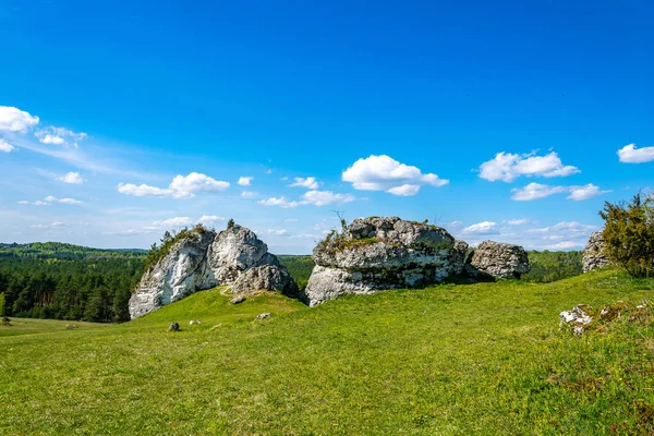 Mirow 'daki Krakow Czestochowa Upland manzarası