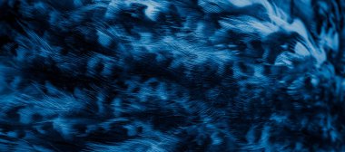 blue  feathers of the owl with visible details