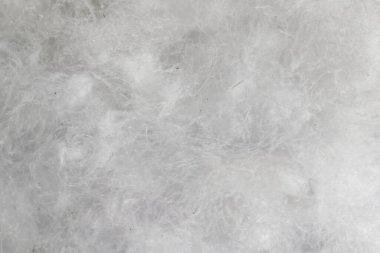 Siyah arka planda beyaz kaz