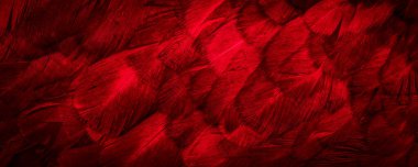 Kırmızı tavuk tüylerinin makro fotoğrafı. arkaplan veya doku