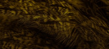 gold  feathers of the owl with visible details