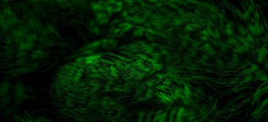 green  feathers of the owl with visible details