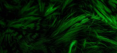 green  feathers of the owl with visible details