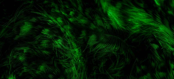 stock image green  feathers of the owl with visible details