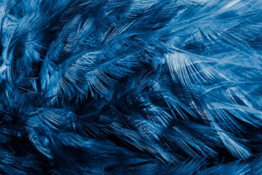 İlginç bir deseni olan mavi tüyler. arkaplan