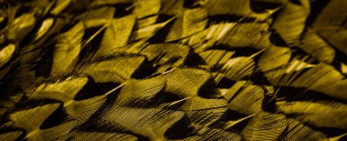 İlginç bir deseni olan altın tüyler. arkaplan