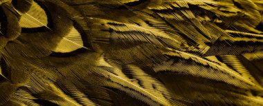 İlginç bir deseni olan altın tüyler. arkaplan