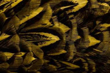 İlginç bir deseni olan altın tüyler. arkaplan