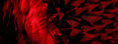 İlginç bir deseni olan kırmızı tüyler. arkaplan