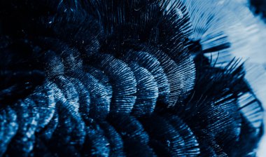 İlginç bir deseni olan mavi tüyler. arkaplan