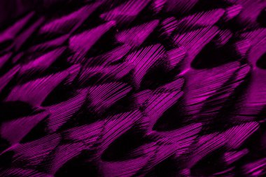 İlginç desenli mor tüyler. arkaplan