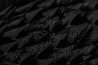 İlginç bir deseni olan siyah tüyler. arkaplan