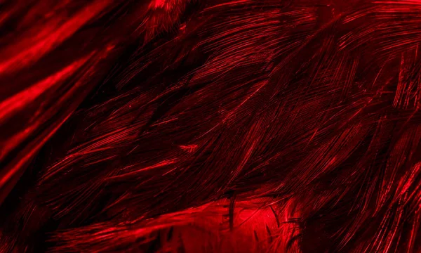 Lginç Bir Deseni Olan Kırmızı Tüyler Arkaplan — Stok fotoğraf