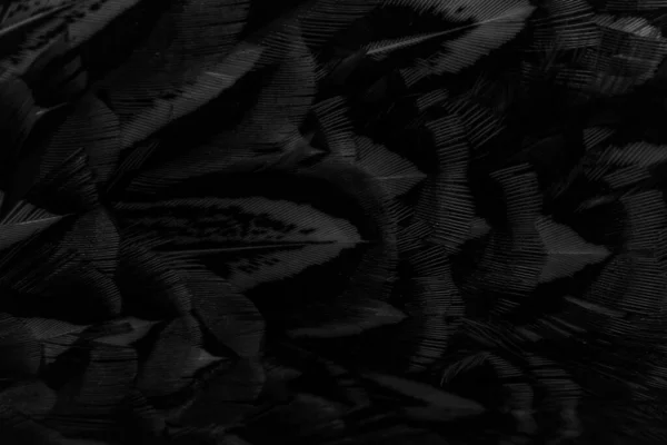 Lginç Bir Deseni Olan Siyah Tüyler Arkaplan — Stok fotoğraf
