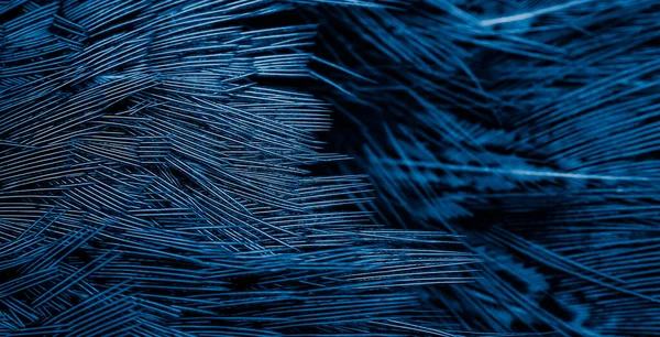 Blue Feathers Interesting Pattern Background — Stock Photo, Image