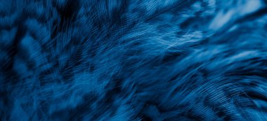 blue  feathers of the owl with visible details