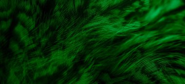green  feathers of the owl with visible details