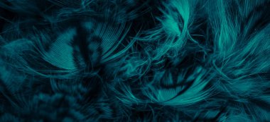 blue  feathers of the owl with visible details
