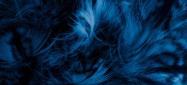 blue  feathers of the owl with visible details