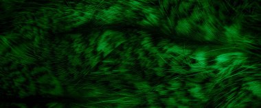 green  feathers of the owl with visible details