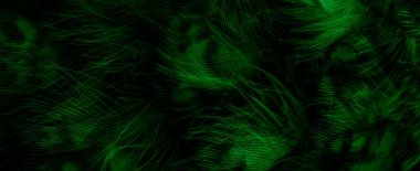 green  feathers of the owl with visible details