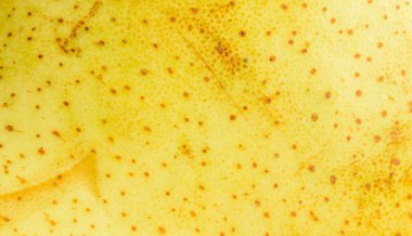 İlginç bir dokusu olan sarı armut derisi. arkaplan