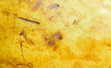 İlginç bir dokusu olan sarı armut derisi. arkaplan